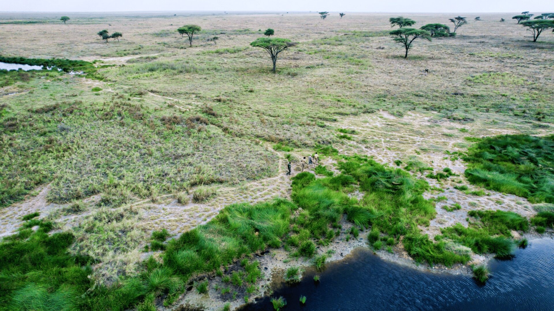 Tanzania tourism Tanzania tourism