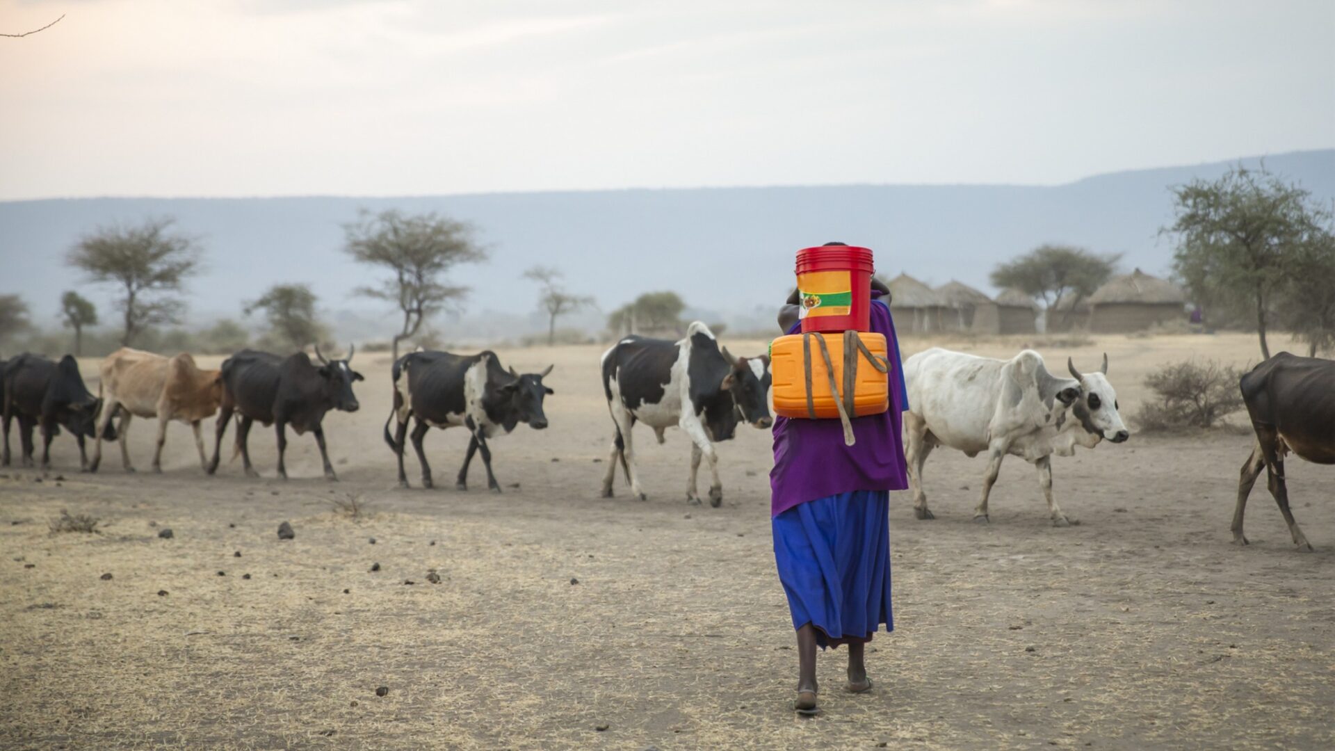 Tourism's economic Tourism's economic
