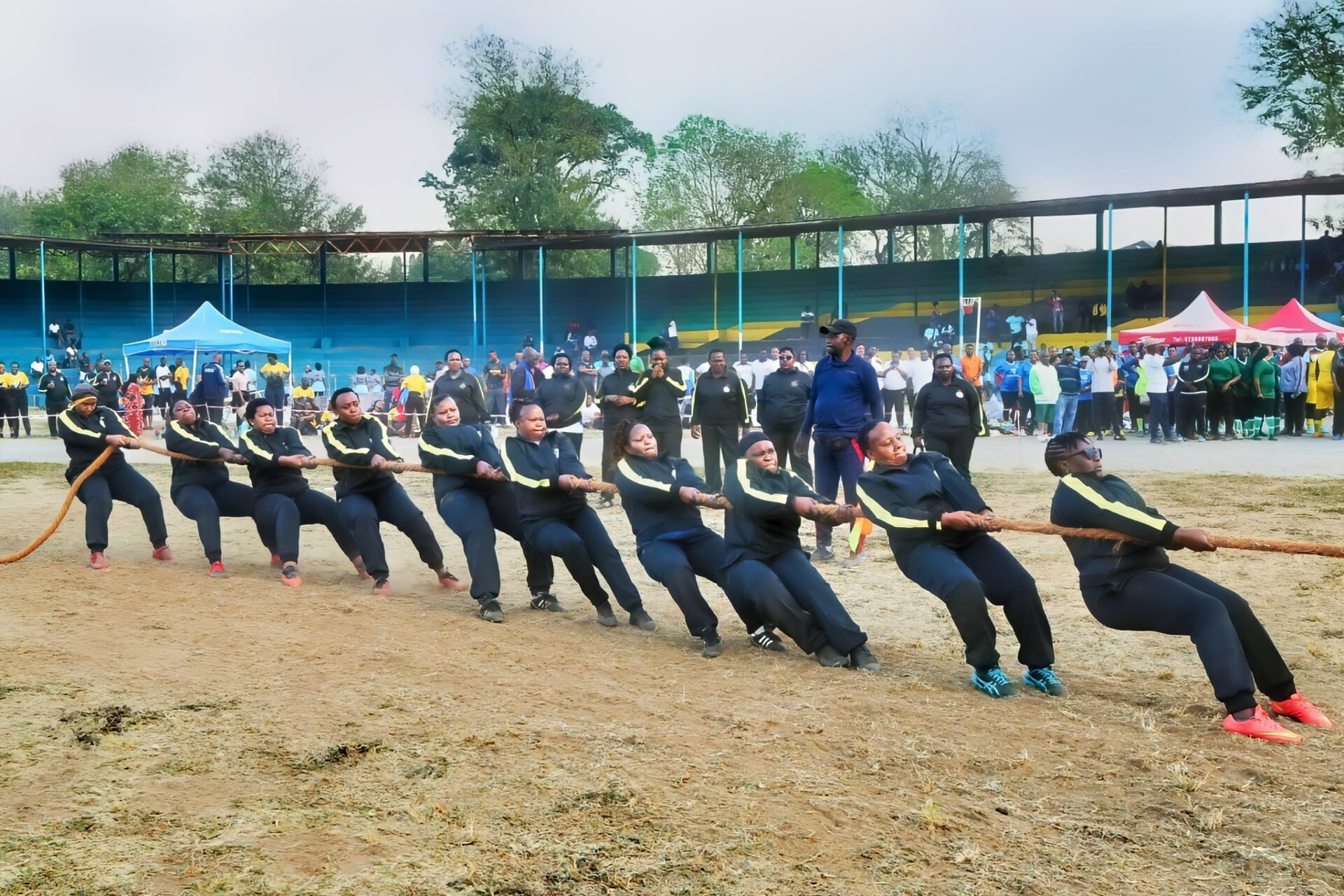 Shimiwi Competition Shimiwi Competition