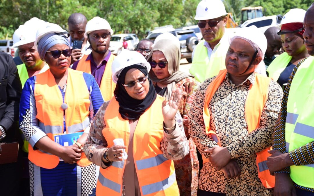 Minister of State Office of the Vice President Inspects Projects in Pemba